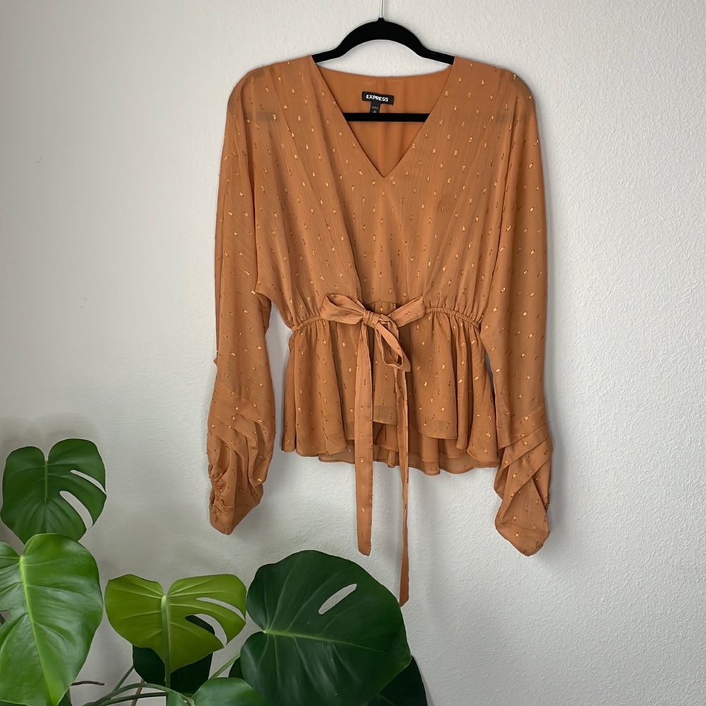 Express Rust Colored Blouse w/ Gold Sparkle Accents - Small